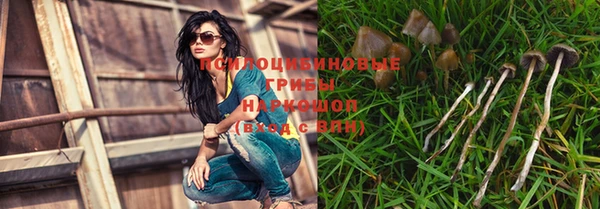 спиды Медногорск