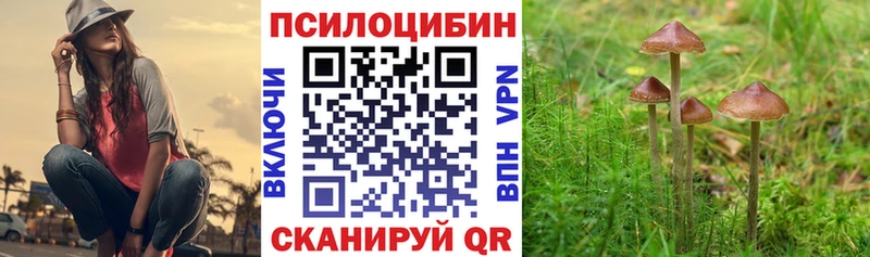 Галлюциногенные грибы GOLDEN TEACHER  Купить закладки  Нижние Серги 